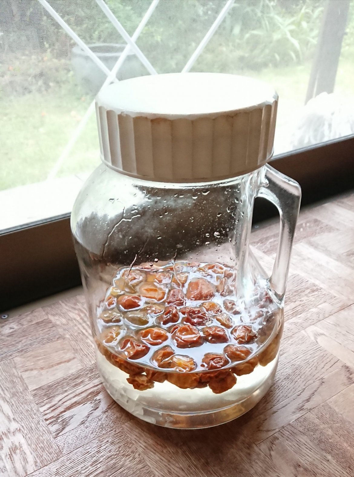 自宅の梅で作った梅シロップ。町内某所で飲み比べてみた。(前編)