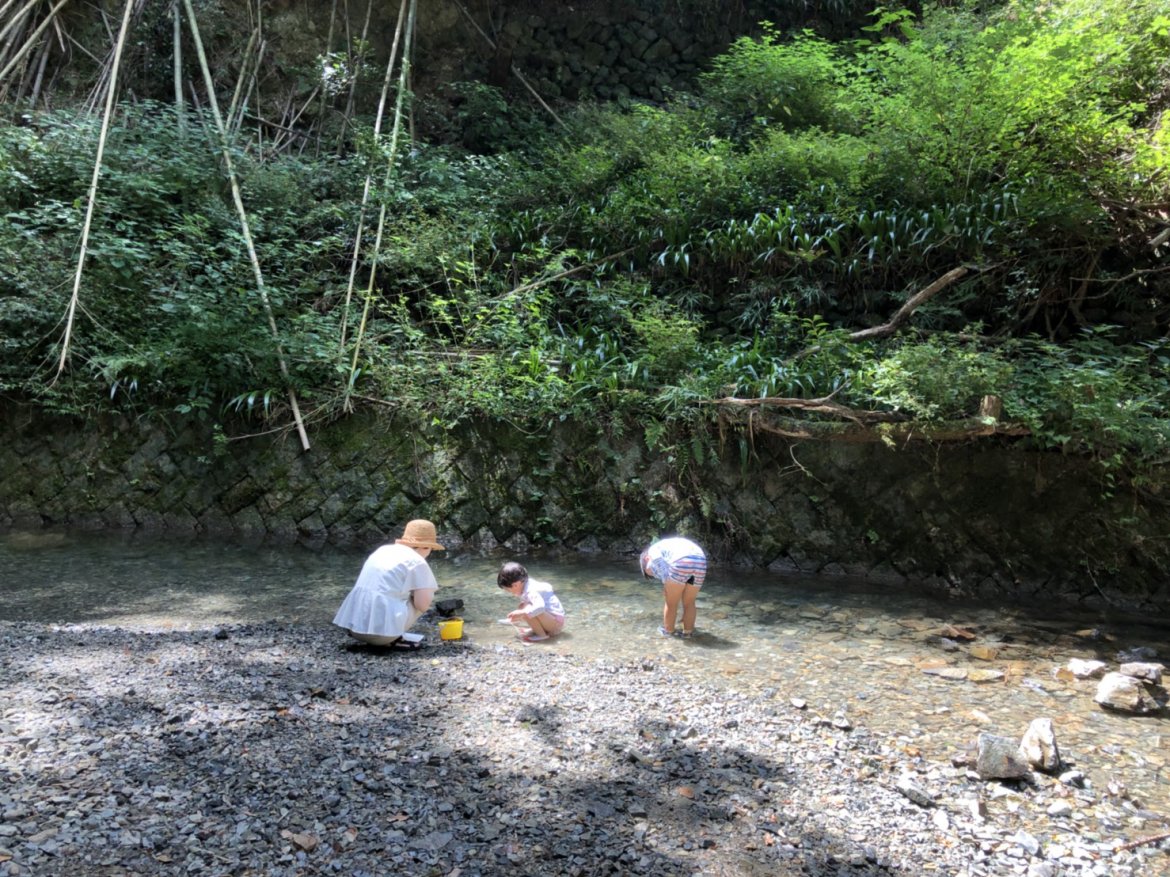 地元民の定番?夏は初谷川で沢蟹採り
