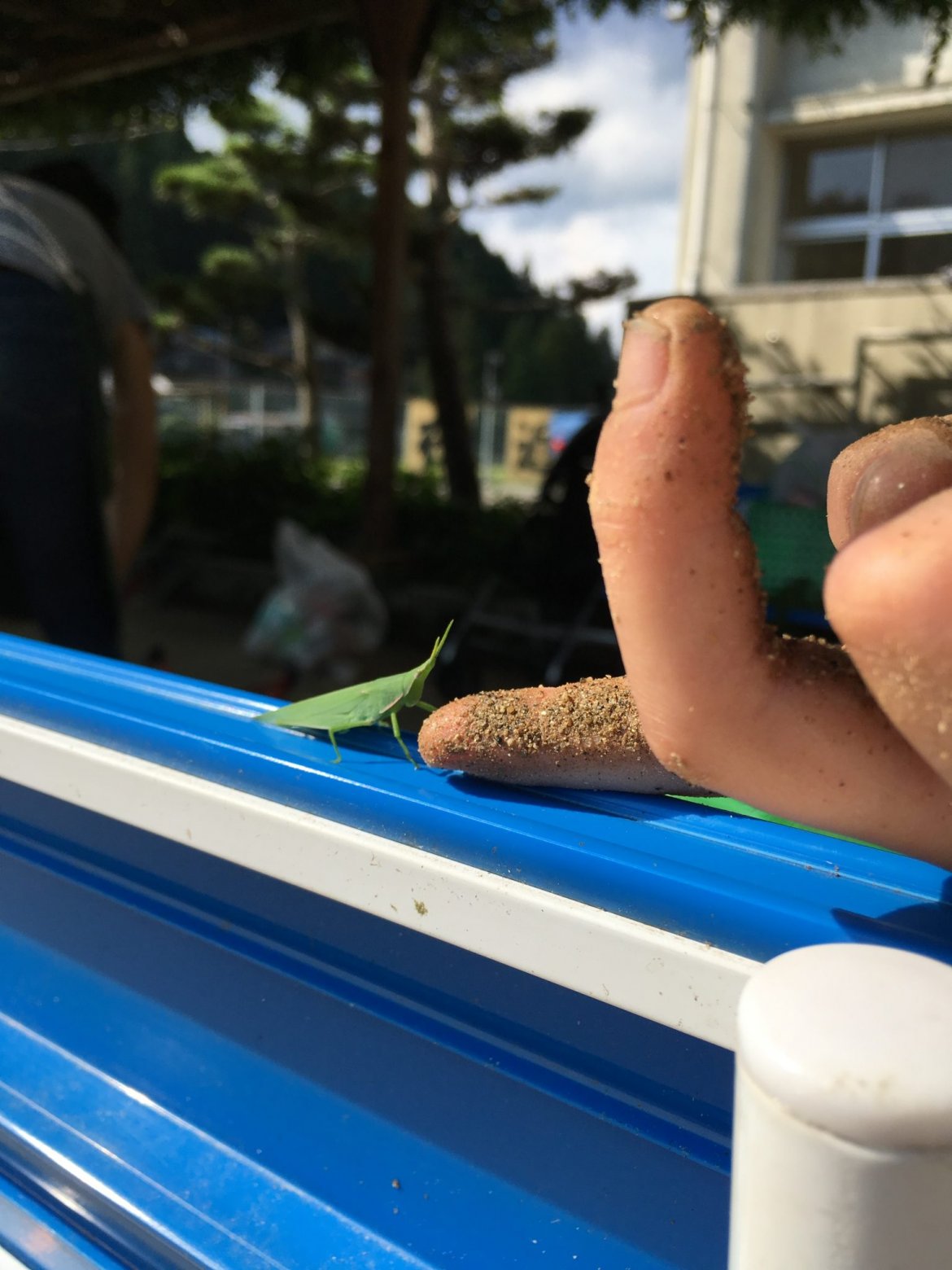 ポケモンの次は昆虫GOが流行るかも！？