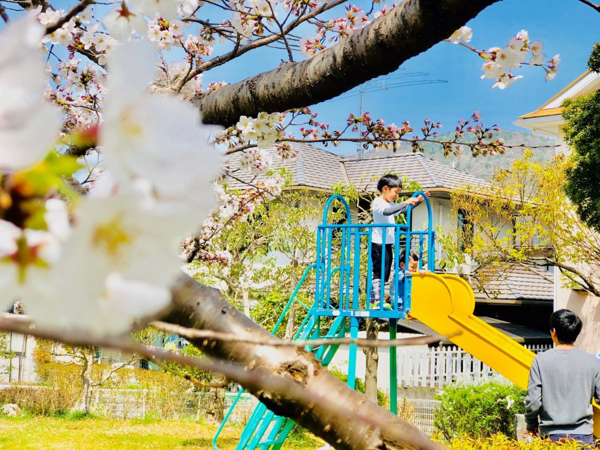 一足お先に春気分♪ みんなの「豊能町お花見ベストスポット」聞きました！