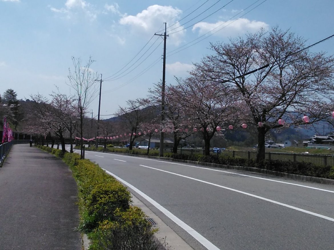 猪名川町（さくら通り～静思館）へ！