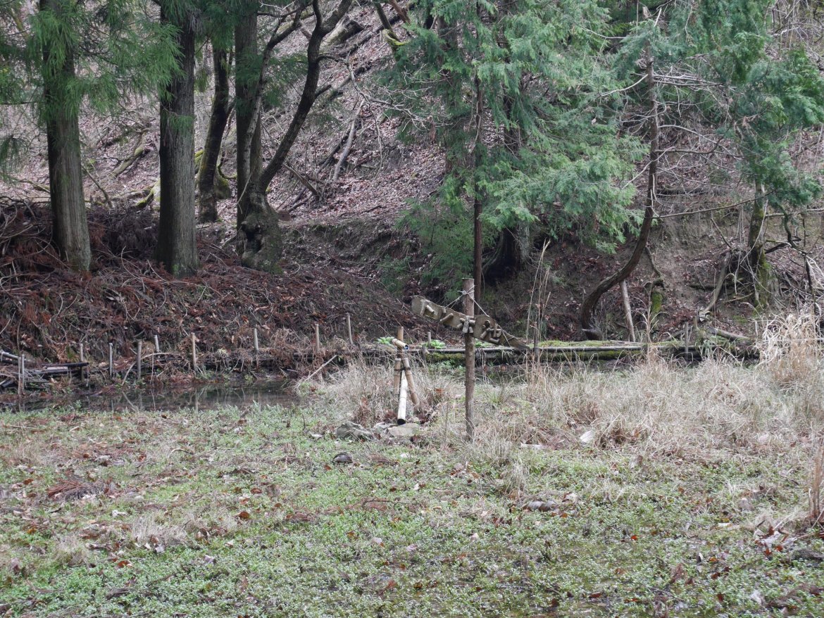 《ヤシキ谷①》豊能町の『とんぼ池』