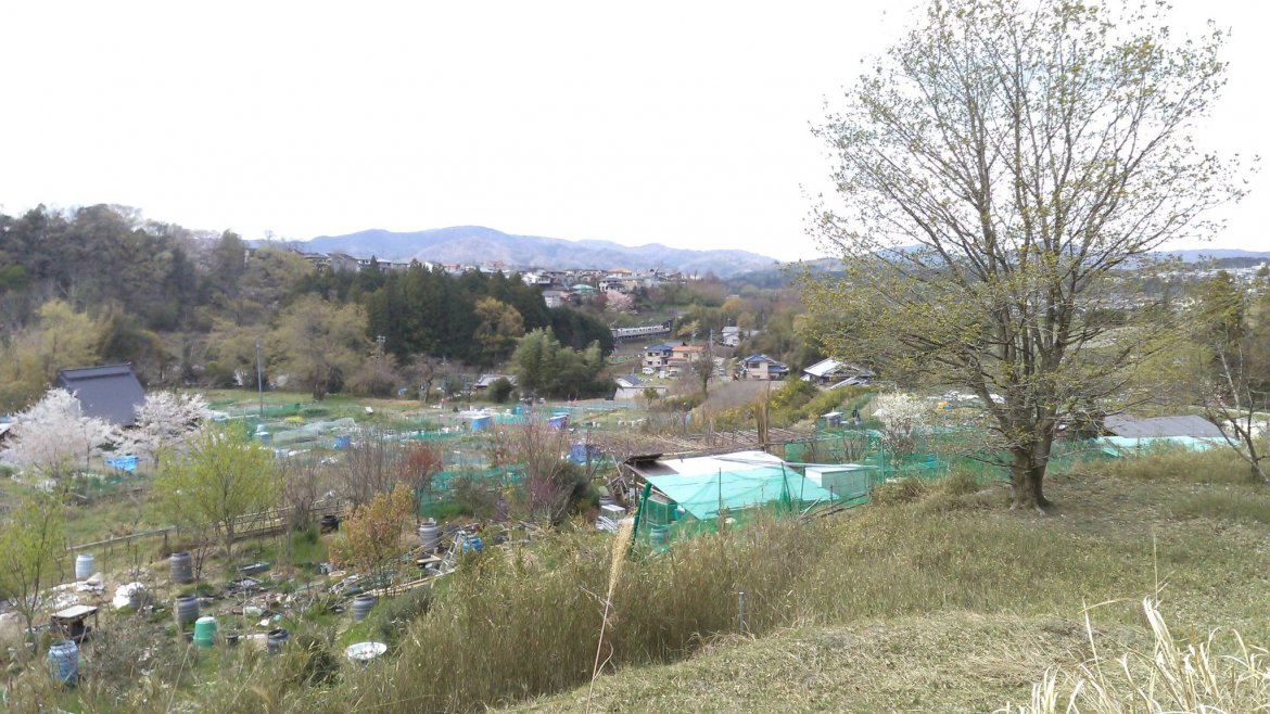 笹部散策（薬師堂-善源寺-大昌寺-平野神社）