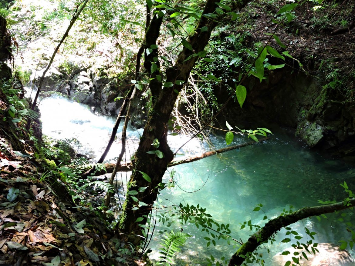 初谷渓谷探索（７月１９日）