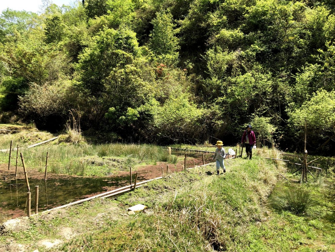 たくさんの生き物に会いに行こう！豊能っこの隠れた遊び場「トンボ池」