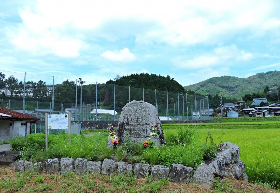 夏野草探索（余野地区）