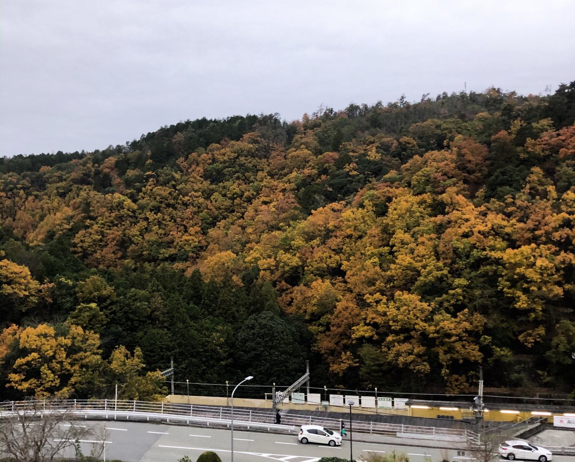 毎日「ここに住んでよかった」と思う〜豊能町からの電車通勤【豊能ライフ＃7】
