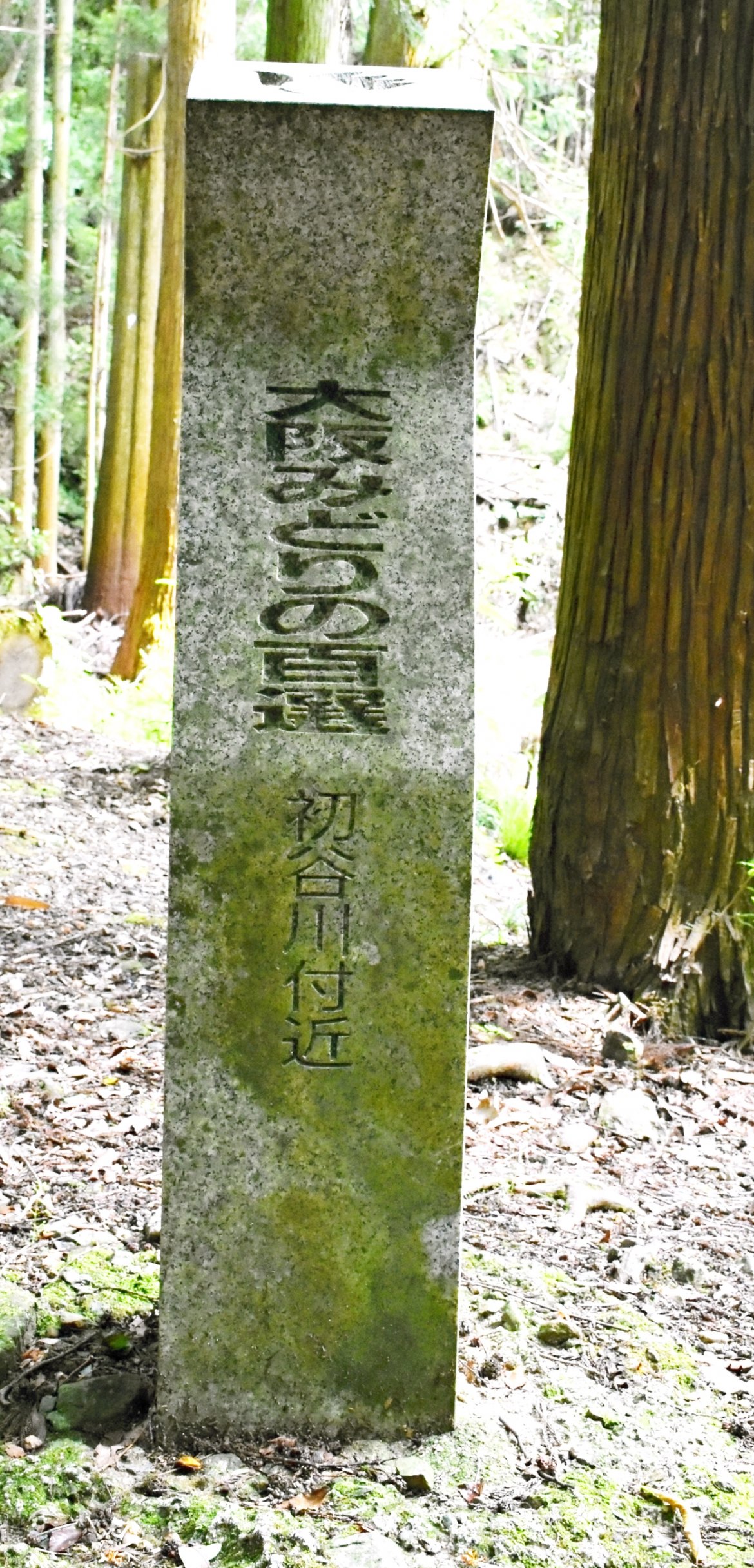 初谷渓谷のツララ