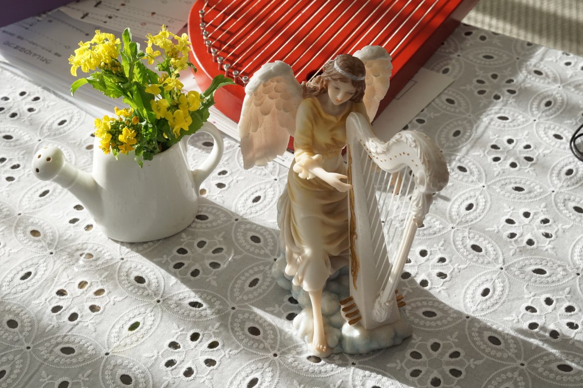 PEACE＊HARP〜みんなで楽しめるバリアフリーのハープ楽団を作りたい！〜【トヨノノ応援会】