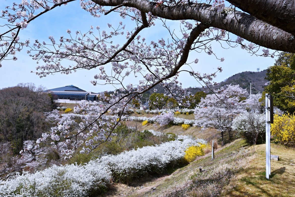 Walking WEマーケット開催