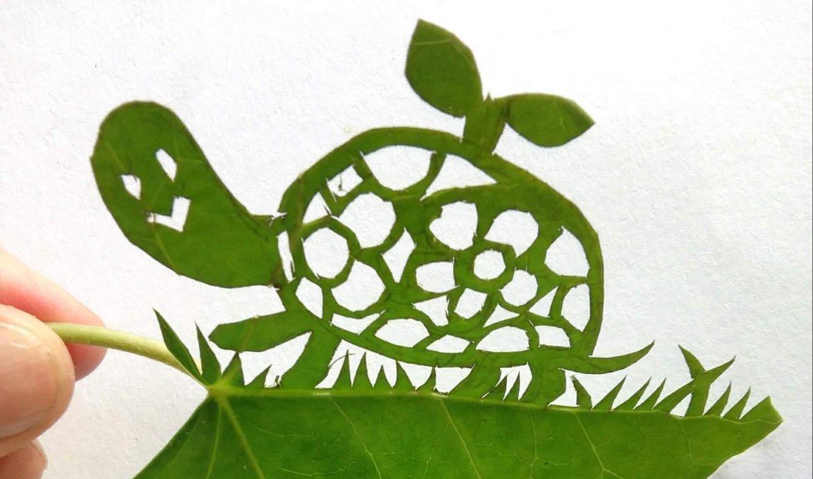 妙見口に、かわいい”かめの家”