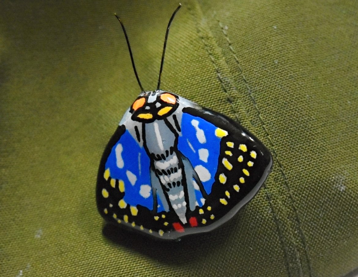 オオムラサキとサイハイラン（初谷渓谷）