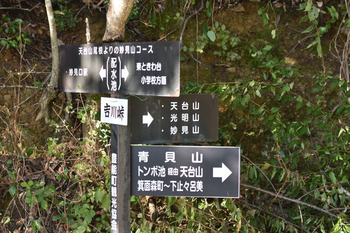 光ケ谷トンボ池探訪（吉川地区）