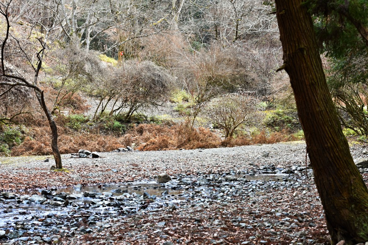 きさらぎの初谷渓谷探索