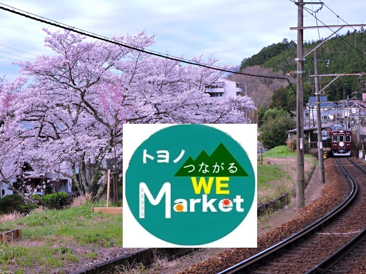 桜開花❣桜マーケットがときわ台１丁目公園で開催