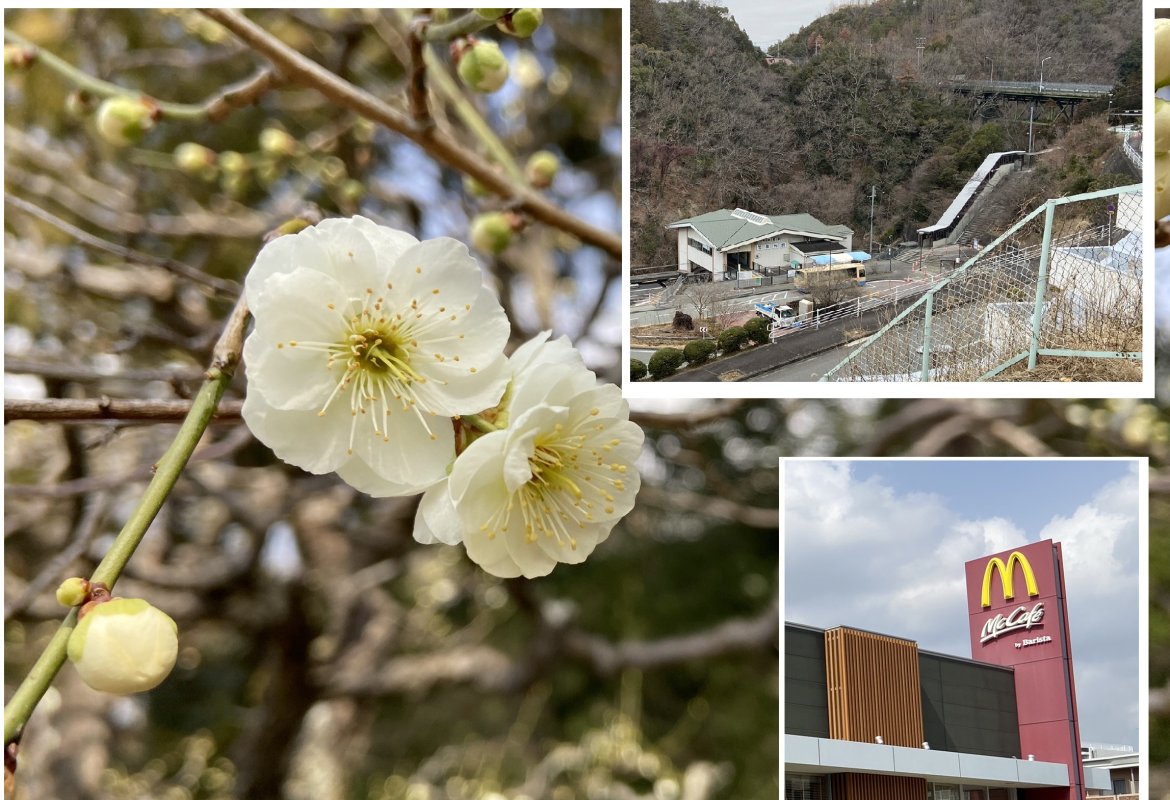 【豊能町発☆おさんぽ】マックカフェまで歩こう！