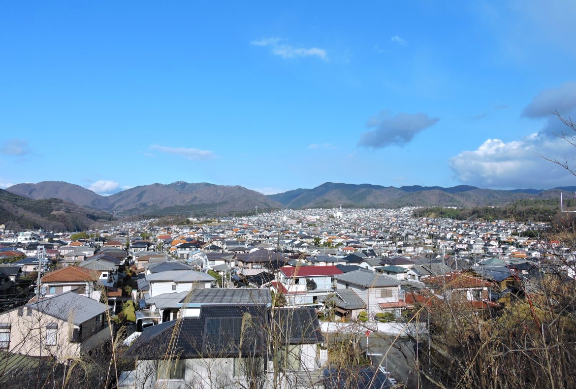 Vol.2　町が活気づく、素晴らしい、感動した「花さんぽ」