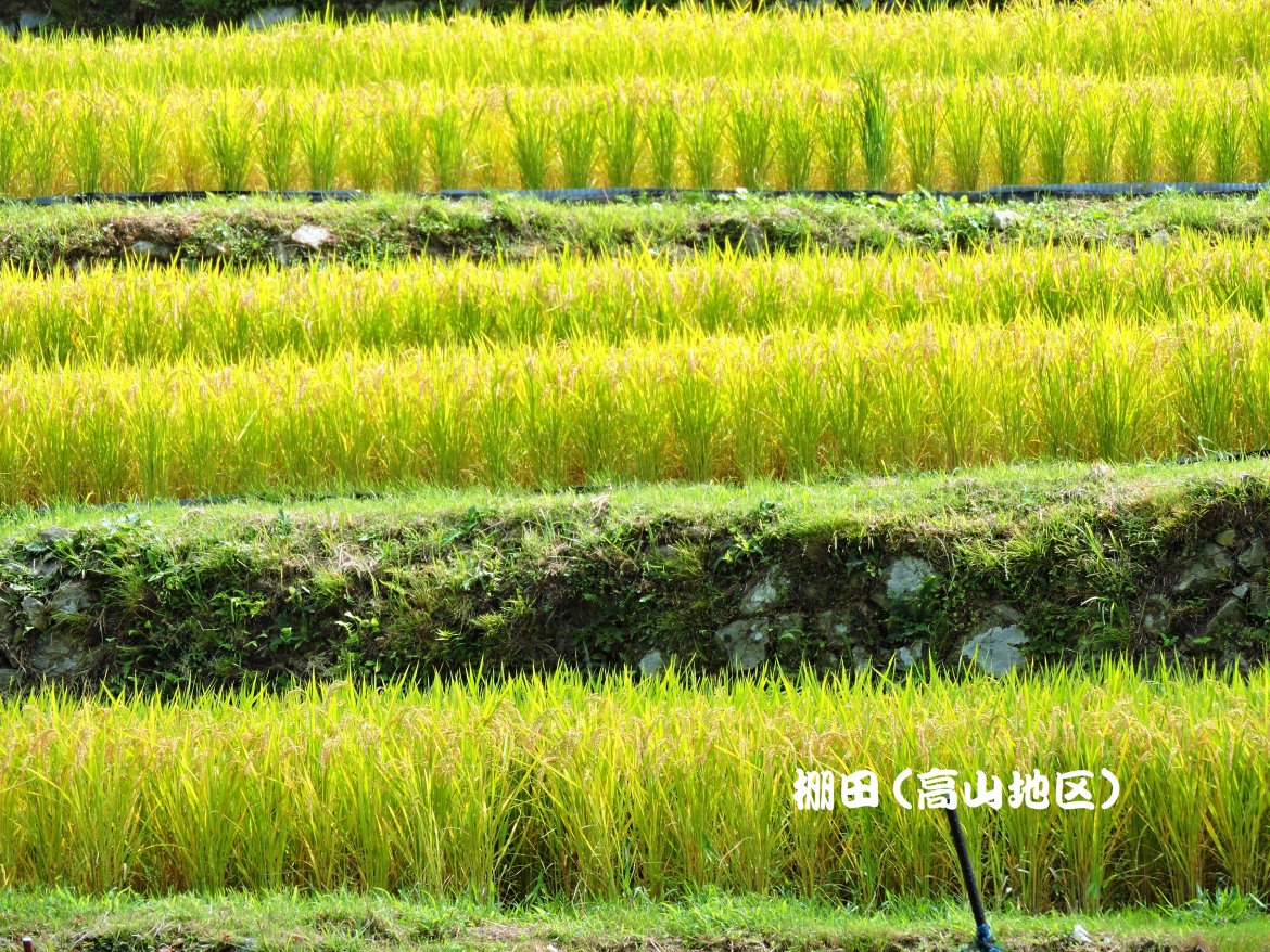 高山地区探訪：歴史・自然が満喫でき、歴史的偉業をなした、キリシタン大名「高山右近」が生誕しました。