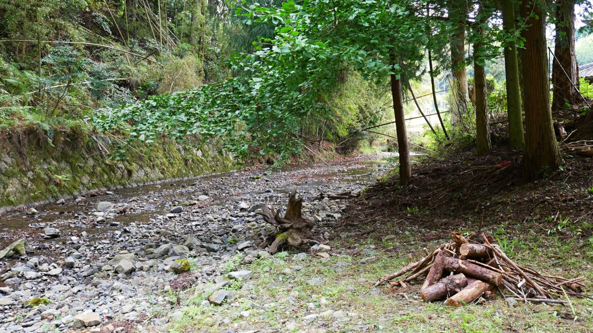 初谷川の水は本当にきれいか？指標生物を捕獲して調べました。