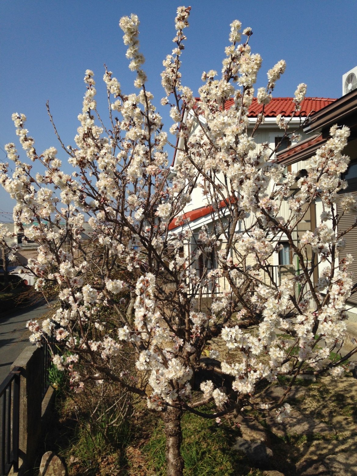 「豊能町のおすすめ－身近にある自然－」