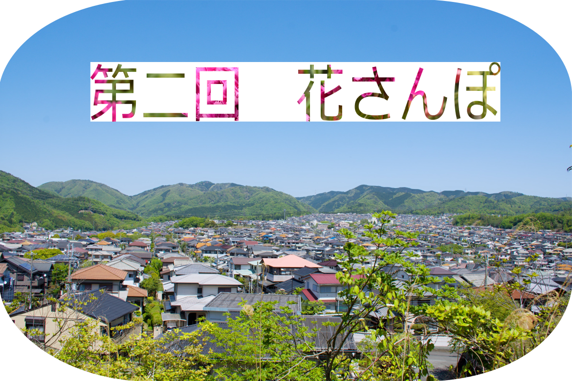 訪れた人に感動をもたらす　”花さんぽ”