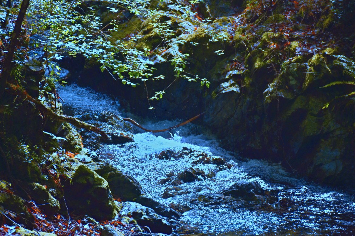 初谷渓谷のゆとりがある空間で、心地のいい散策をしました。
