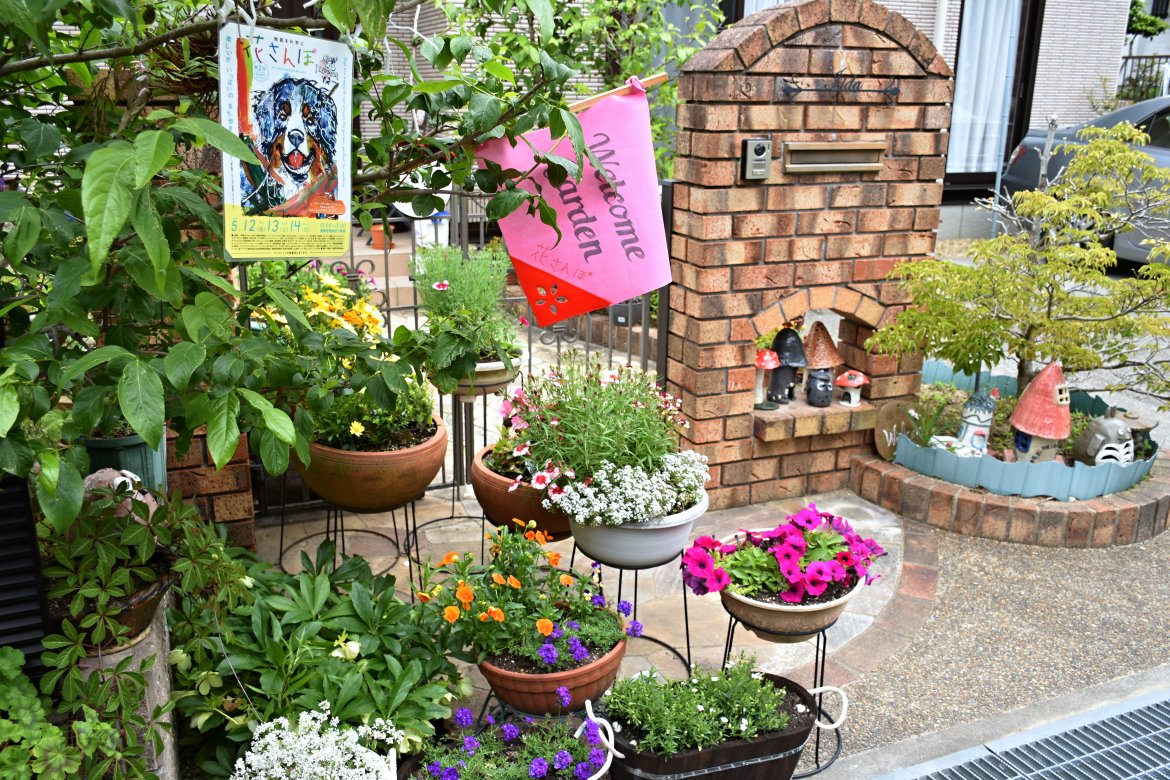 見た瞬間から、素晴らしかった、第二回「花さんぽ」