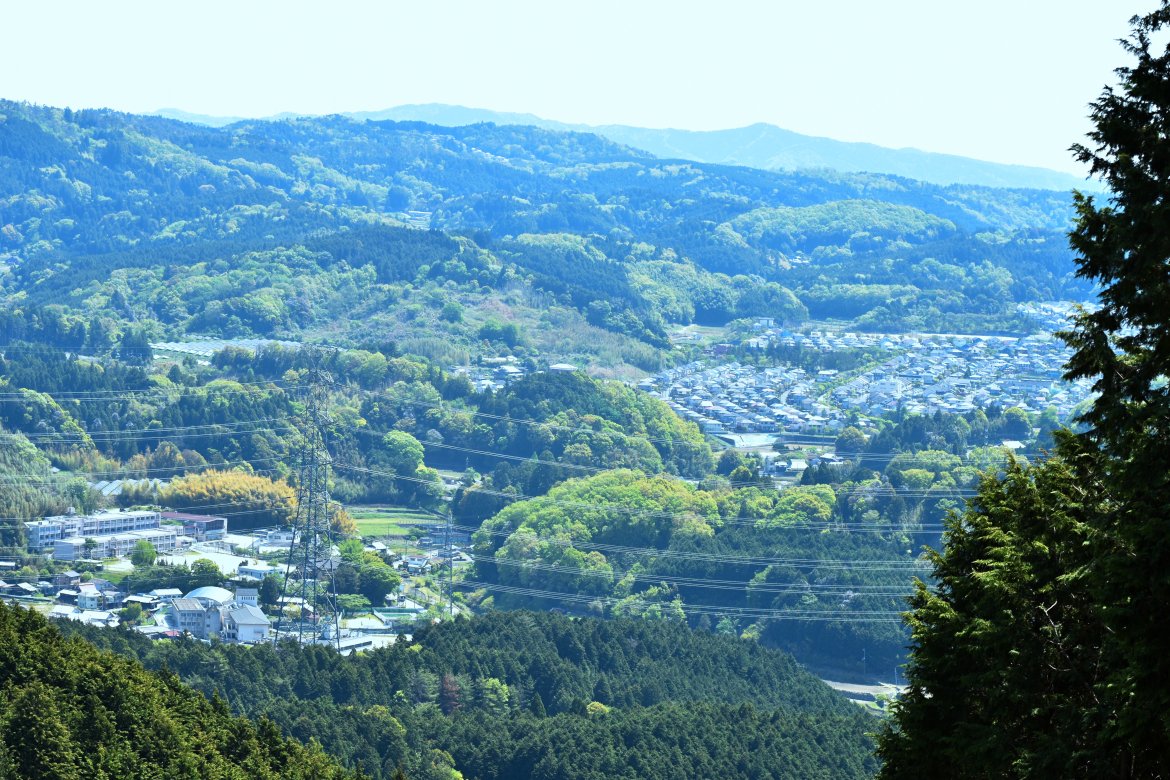 さわやかな初夏の東地区を探訪
