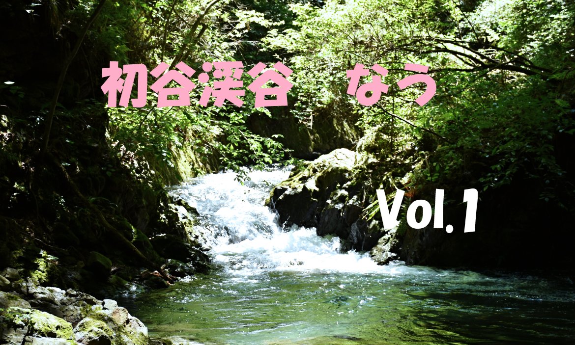初谷渓谷ナウ