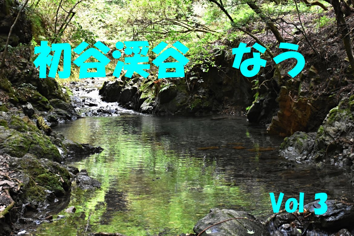 夏花が咲き、そよ風で暑さを忘れる初谷渓谷!