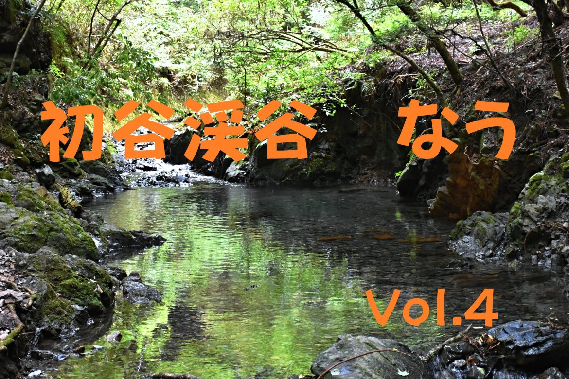 まだまだ残暑の溪谷。動植物は秋を感じています。