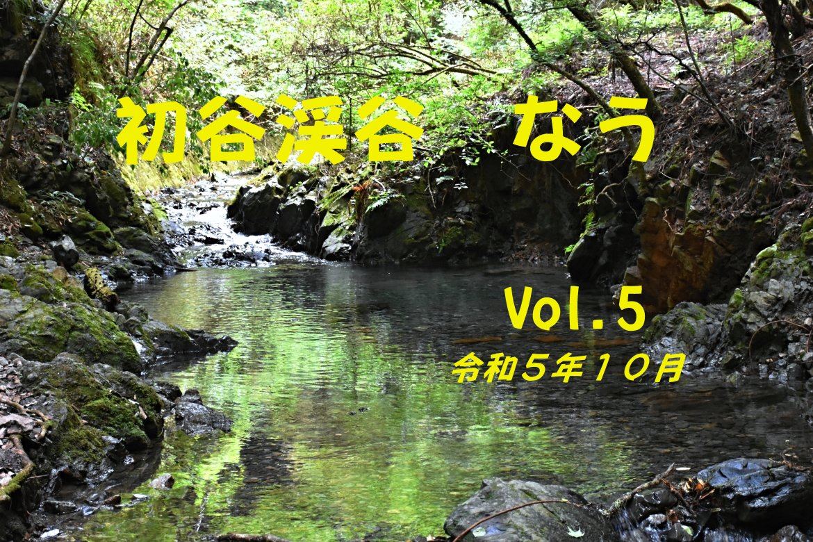ぼちぼち晩秋になりつつある　初谷渓谷