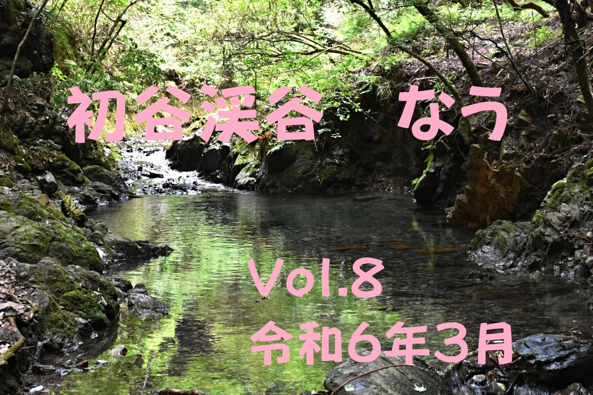 初谷渓谷　なう　Vol.８
