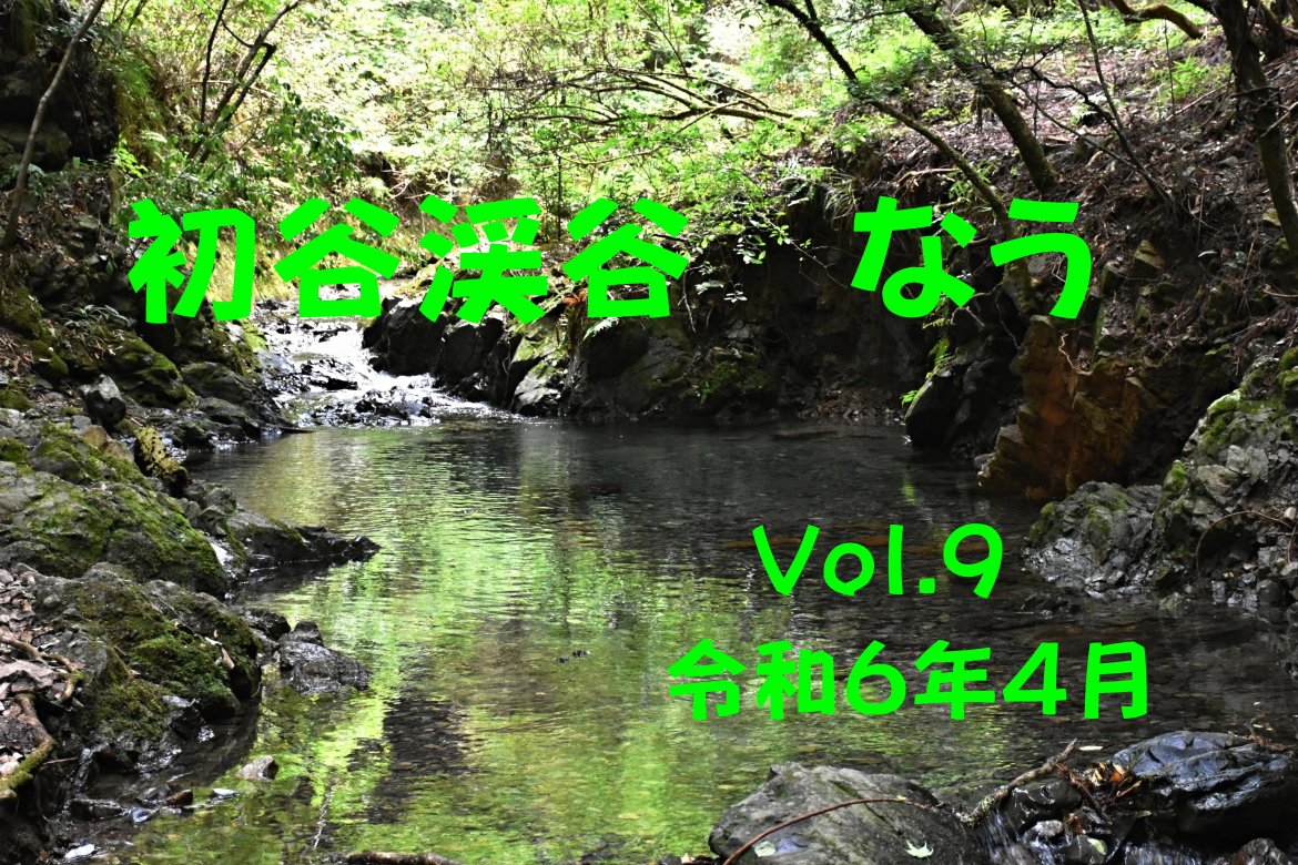 初谷渓谷　なう　Vol.９
