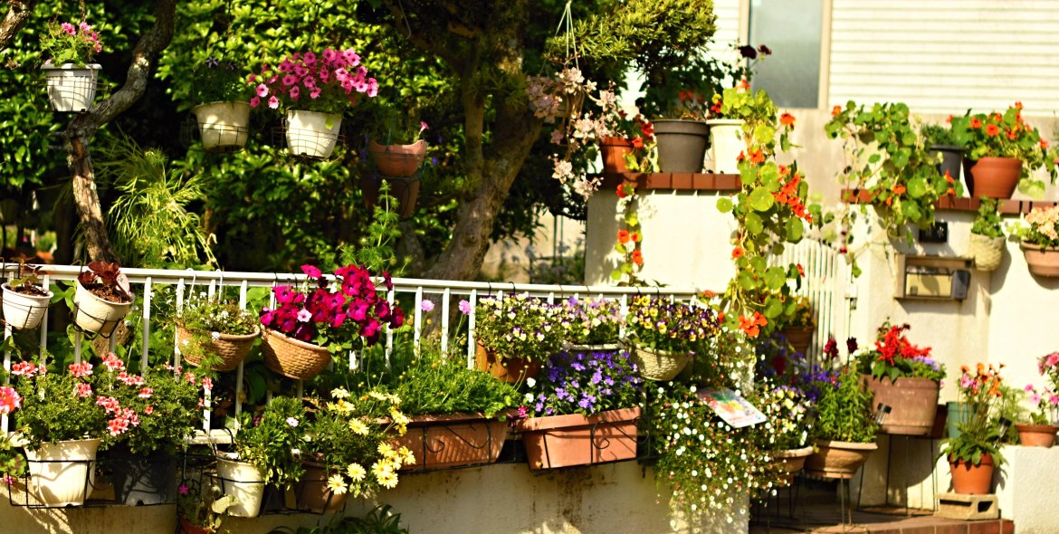 大好評！！第３回「花さんぽ」が開催される。Vol.1