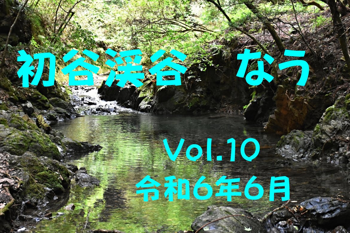 初谷渓谷　なう　Vol.10