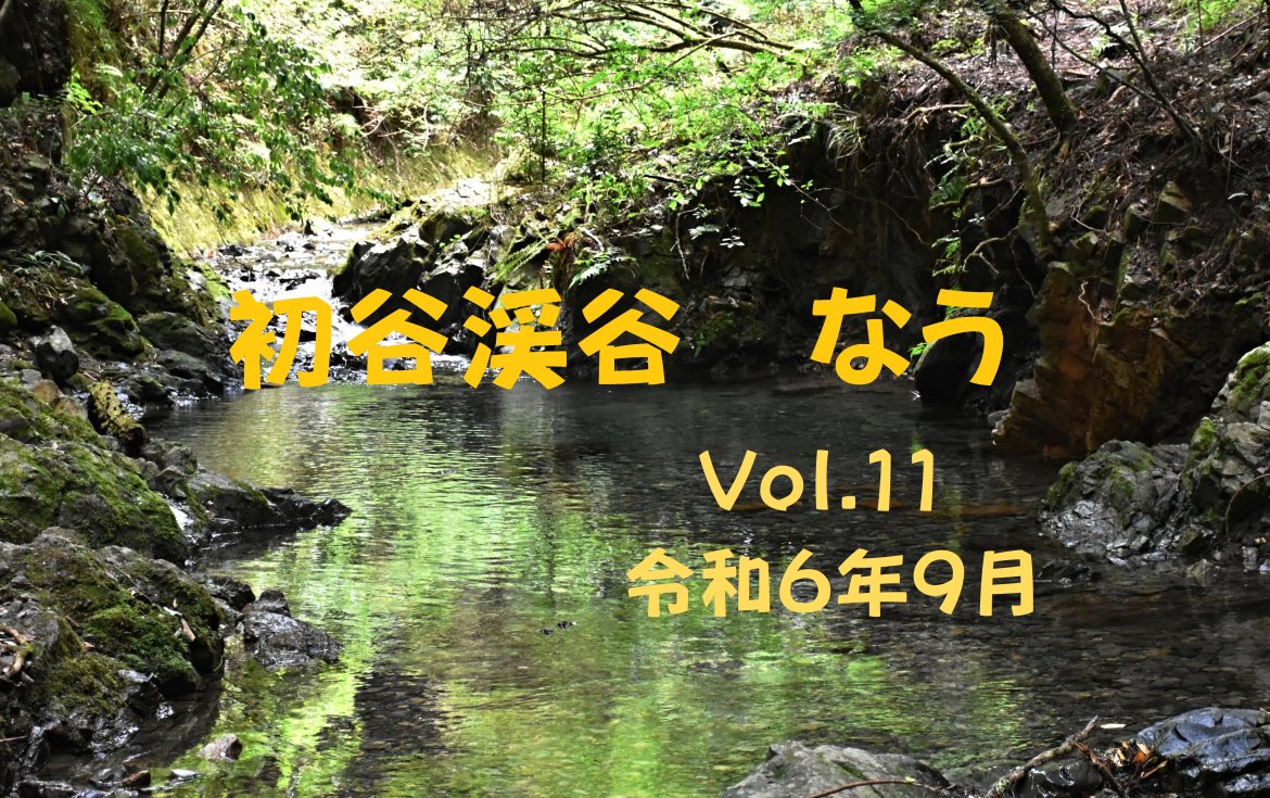初谷渓谷なう　Vol.11