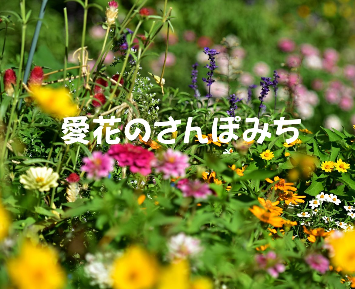 愛花のさんぽみち