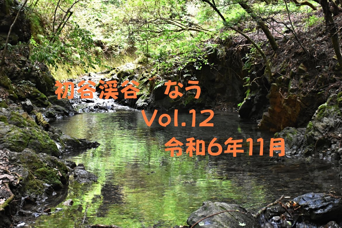 初谷渓谷　なう　Vol.１２