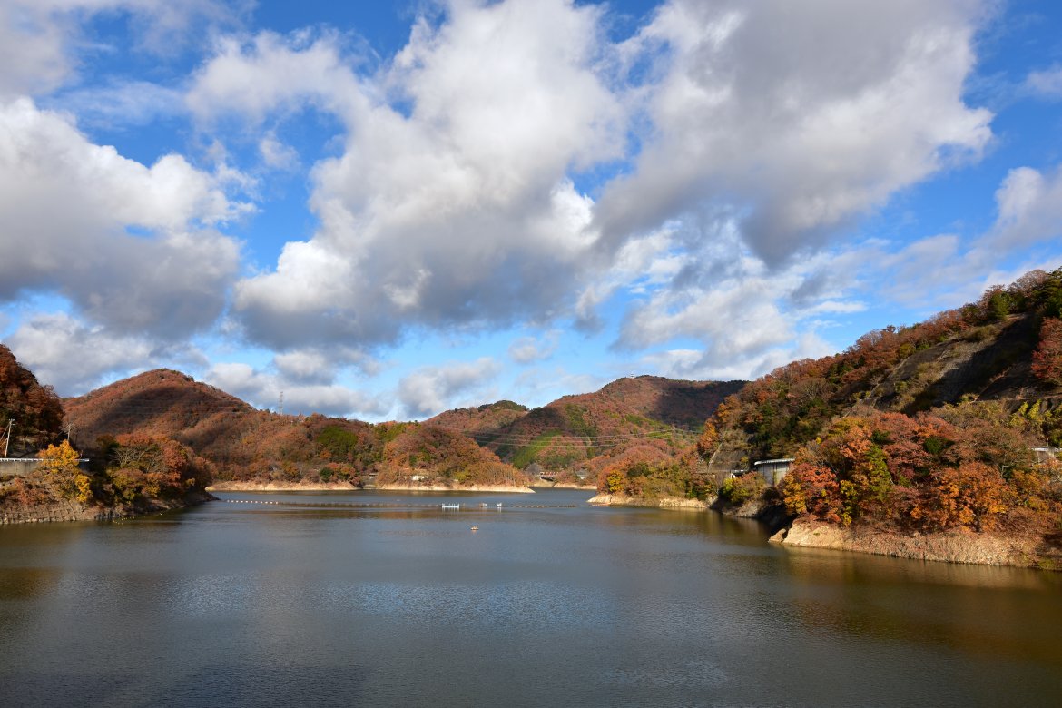 一庫ダム周辺の紅葉