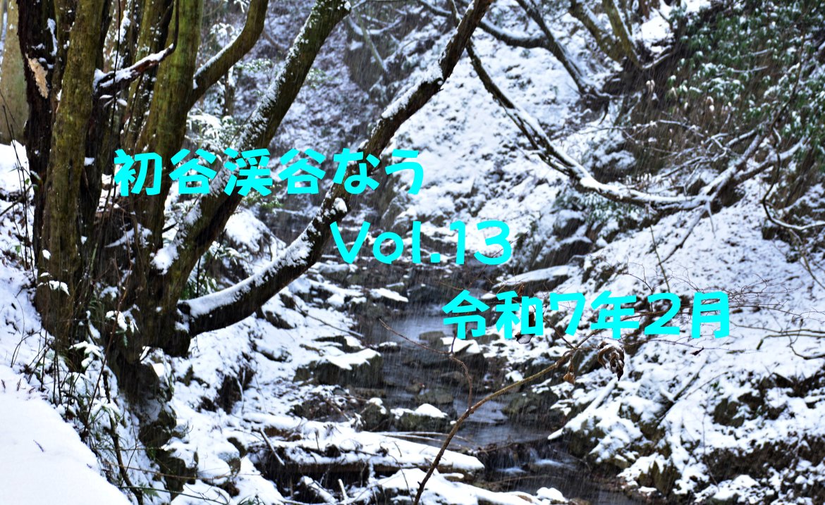 今年一番の風情ある大雪が降りました