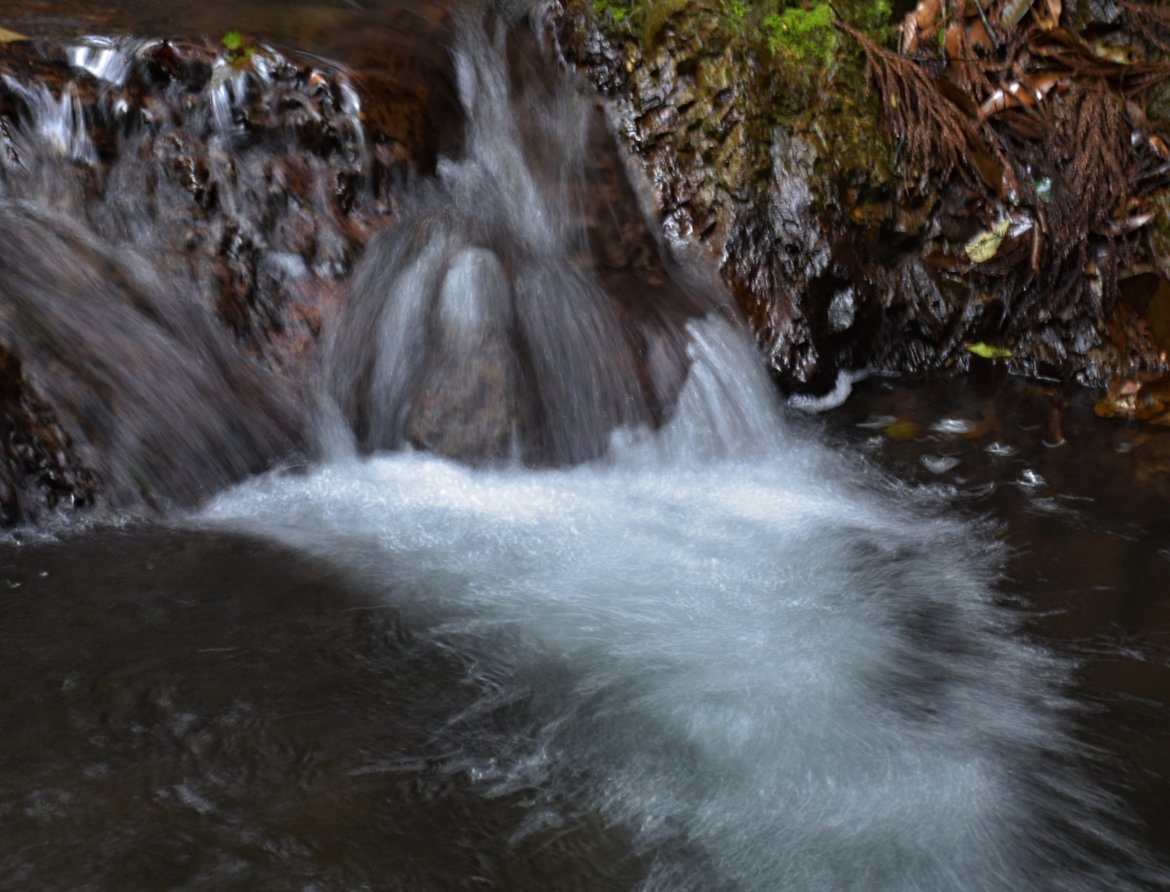 新緑の初谷渓谷