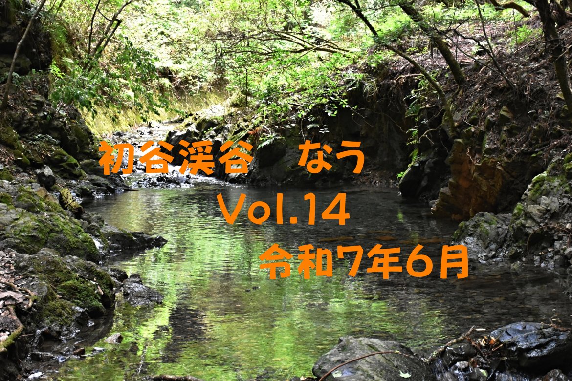 初谷渓谷なう　Vol.14