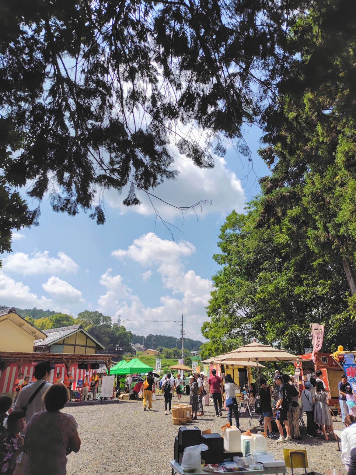 とよの観光まつり with 川西市・猪名川町