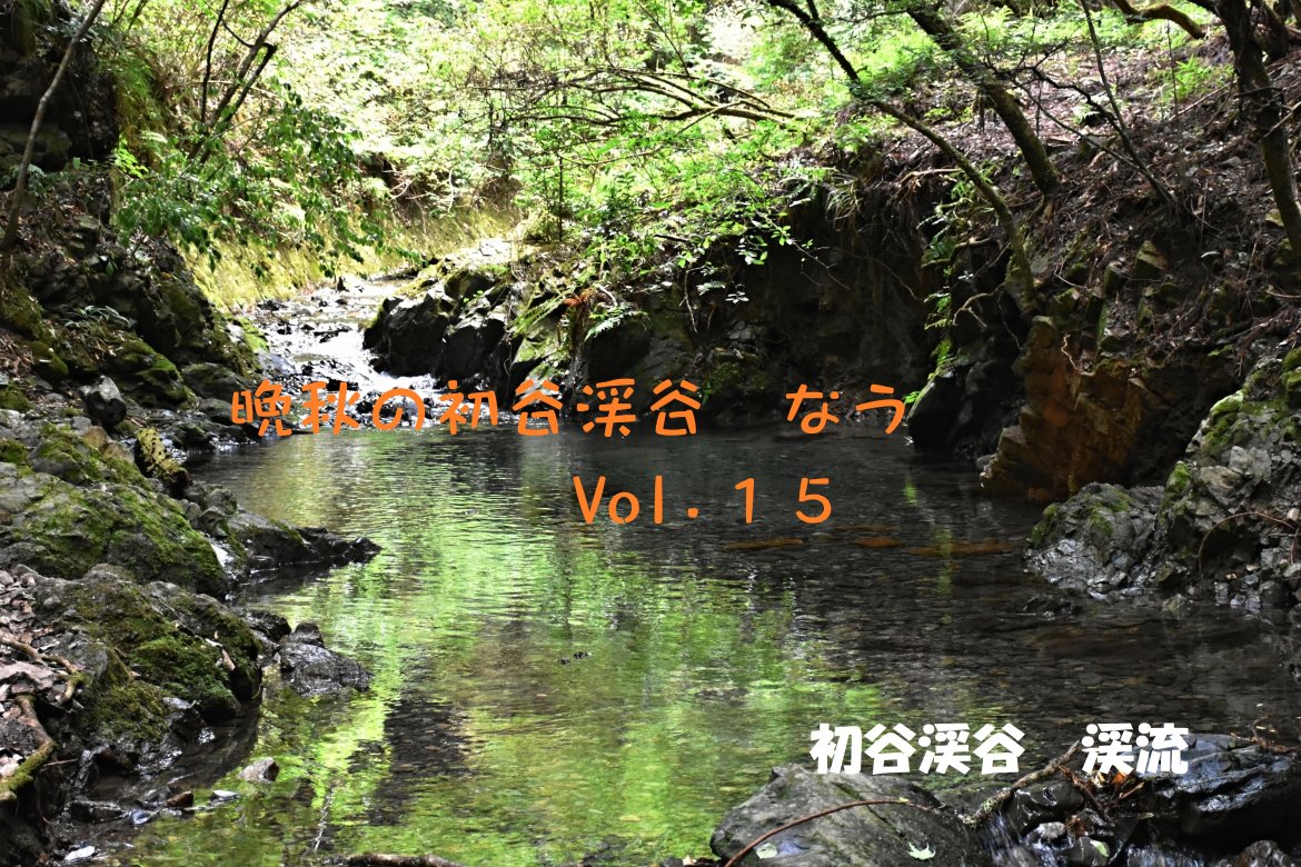 初谷渓谷　なう　Vol. １５