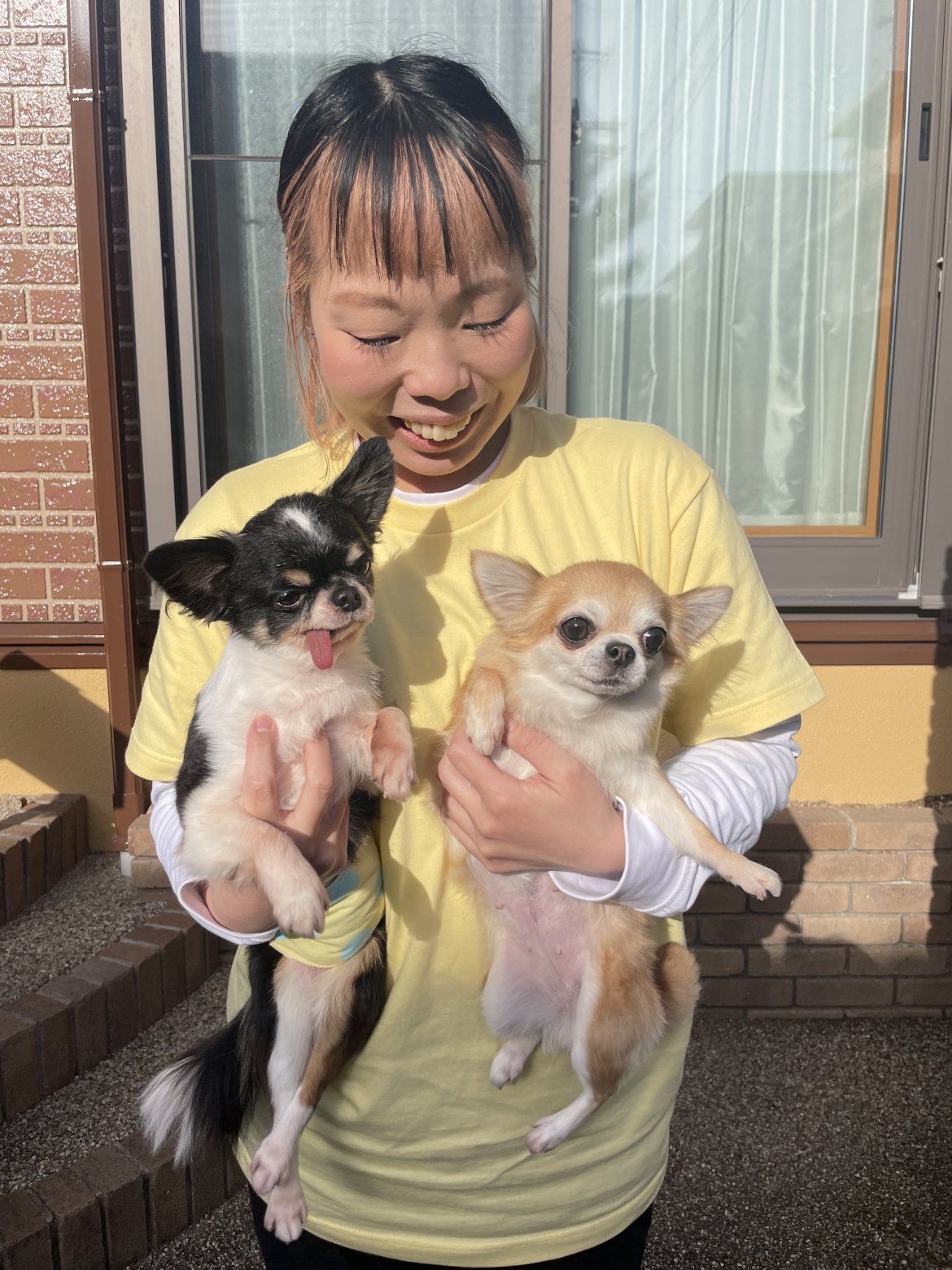 好きが溢れるワンちゃんファーストの空間【Pethotelあっぷるへっど】